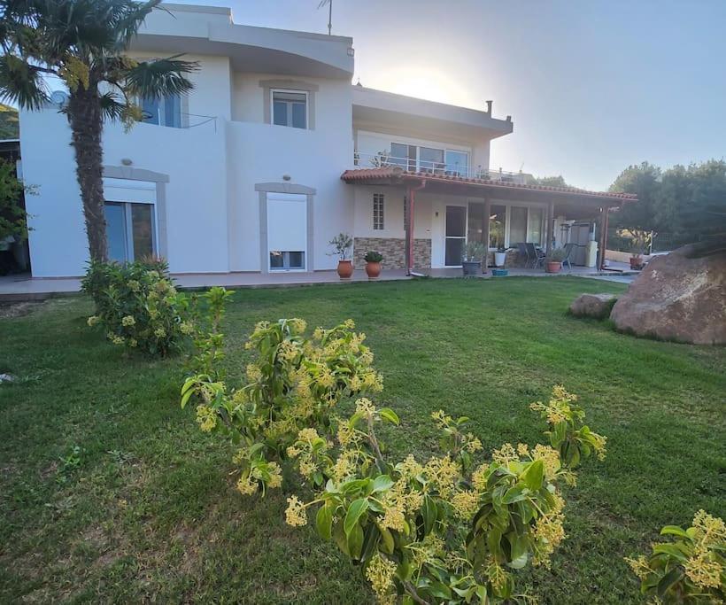 Lux House With Garden Villa Kampos  ภายนอก รูปภาพ